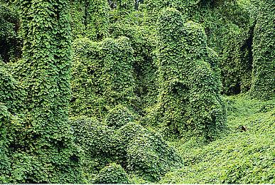 传《光环：战斗进化》重制版仅包含单人战役